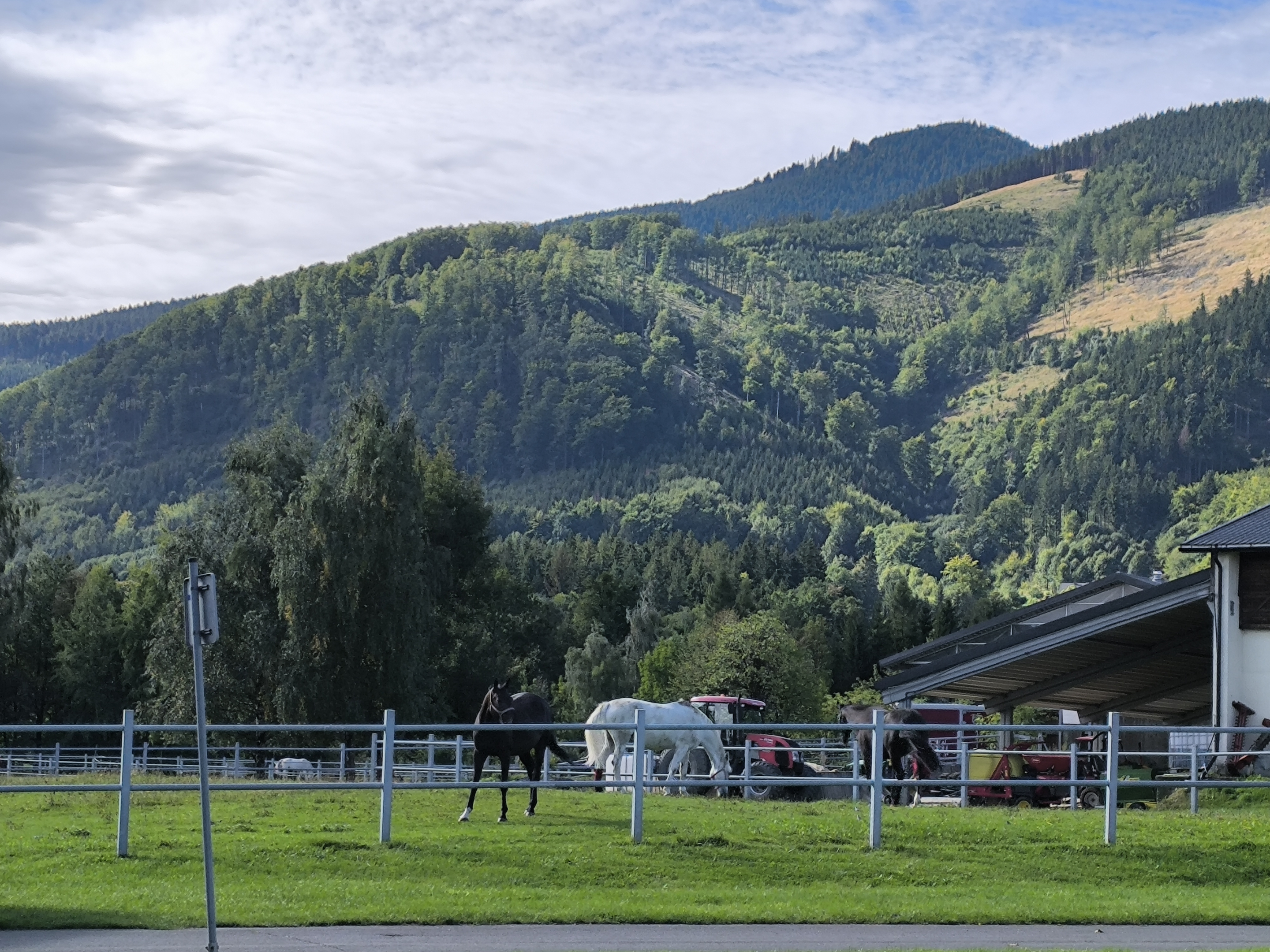 Horse ranch Čeladná