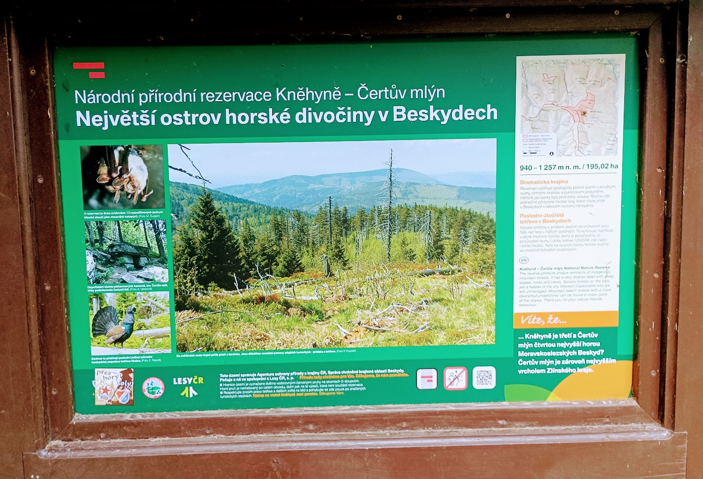 Kněhyňská jeskyně
